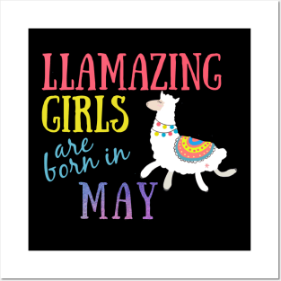 Llama Llamazing Girls Are Born In May Birthday Design Posters and Art